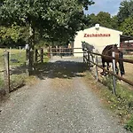 Zechenhaus - Urlaub Im Schoenen Harz Dankerode (Saxony-Anhalt)