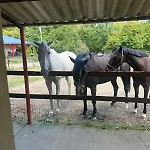 Zechenhaus - Urlaub Im Schoenen Harz Dankerode (Saxony-Anhalt)