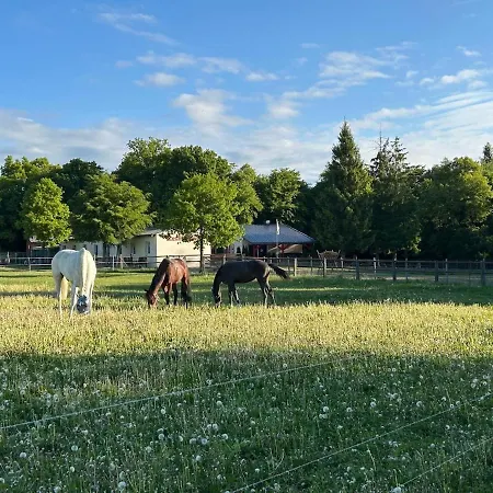 Zechenhaus - Urlaub Im Schoenen Harz アパート Dankerode