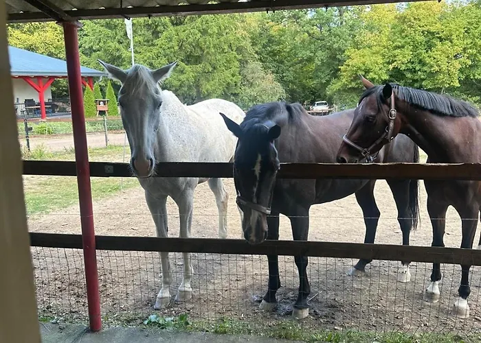 Zechenhaus - Urlaub Im Schoenen Harz Dankerode