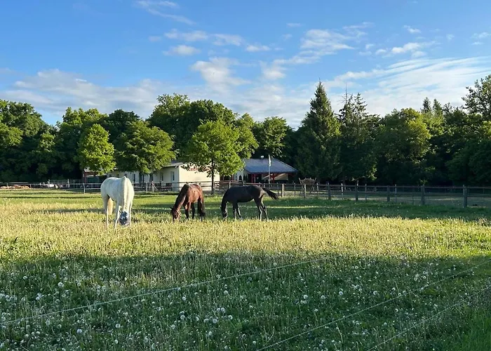 Zechenhaus - Urlaub Im Schoenen Harz アパート Dankerode